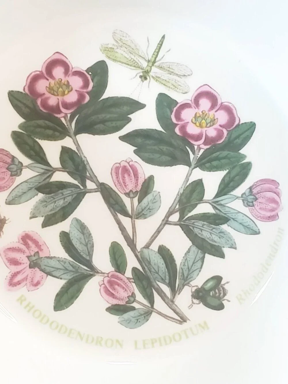 Vintage 1972 Portmeirion Botanic Garden Floral Rhododendron Soup Cereal Bowl